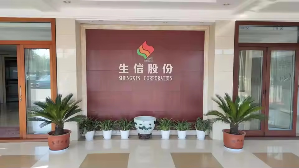 China ANHUI SHENGXIN  CORPORATION LIMITED Perfil da companhia